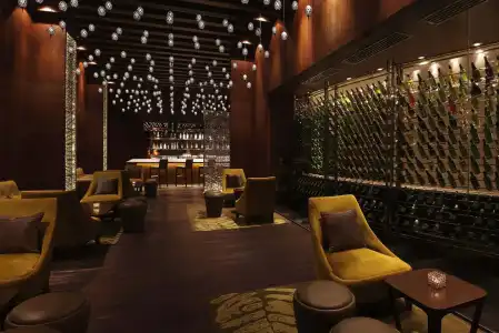 Hilton Jaipur - 18