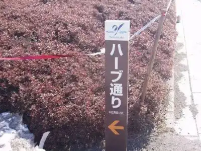 Pension Mori - 15