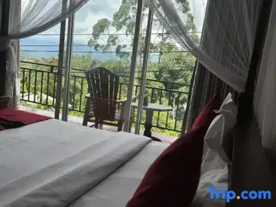 Nature Life Guest Inn - 43
