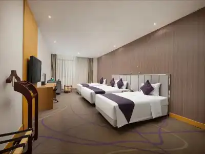 Dorsett Wuhan - 103