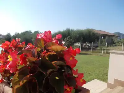 Villa Lauro Luxury B&B - 22