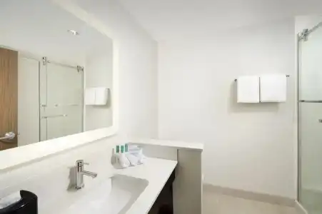 Holiday Inn Express & Suites New Braunfels by IHG - 56