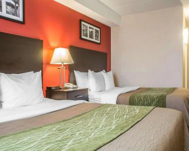 Comfort & Suites - 5