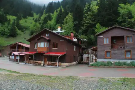 Uzungol Resort - 3