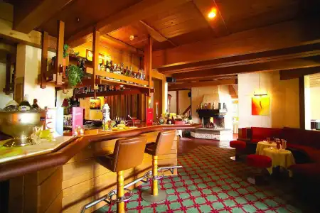Maritim TitiseeTitisee-Neustadt - 34