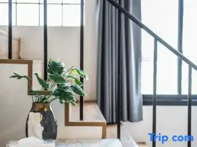 Theme Boutique - 187