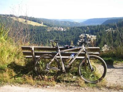 Lamm - 24