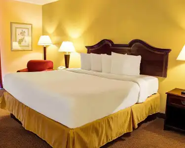 Quality Inn North - 18