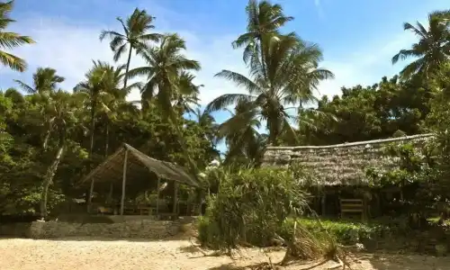 Peponi Beach Resort - 8