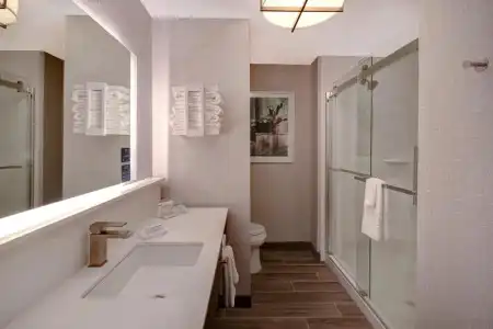 Hampton Inn by Hilton Tucson Downtown - 30