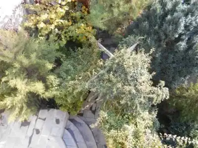 Колибри Гостевой Дом (Colibri Guest House) - 3