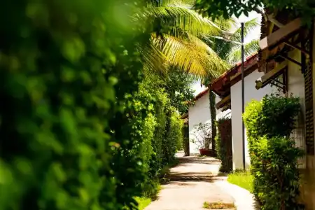 Maison du Vietnam Resort & Spa - 92