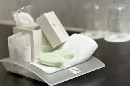 Holiday Inn VIENNA CITY by IHG - 65
