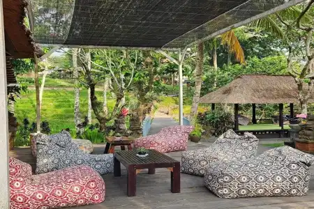 Ubud Sari Health Resort - 7