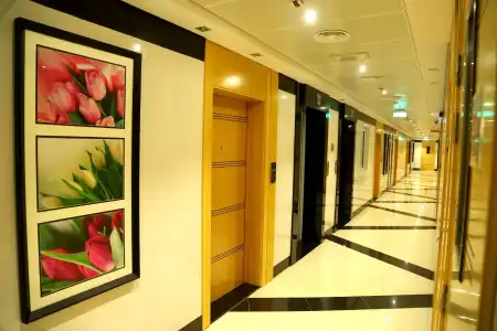 Tulip Al Barsha Apartment - 10
