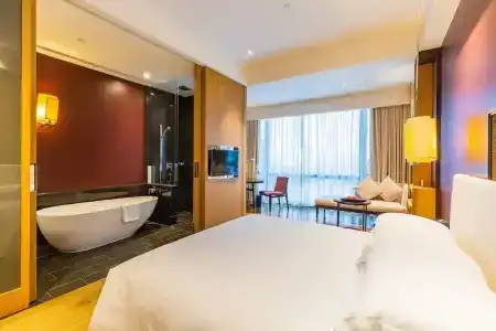 Kapok Shenzhen Bay - 98