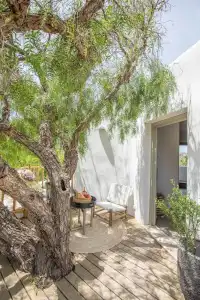Ikies of Mykonos - 287