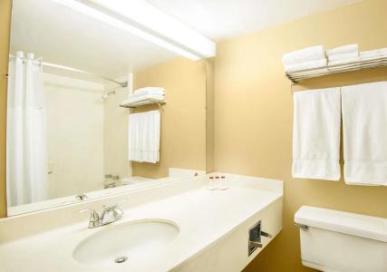 Ramada by Wyndham Denver Downtown - 6