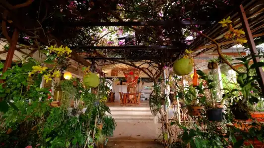 Patty's Secret Garden - 14