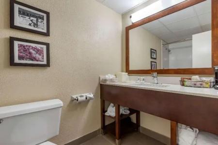 Comfort Inn Charlotte Airport Uptown - 75
