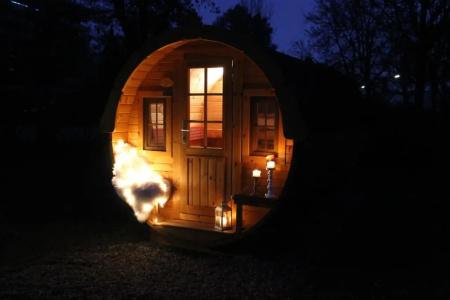 Azur Waldcamping Auwaldsee - 45