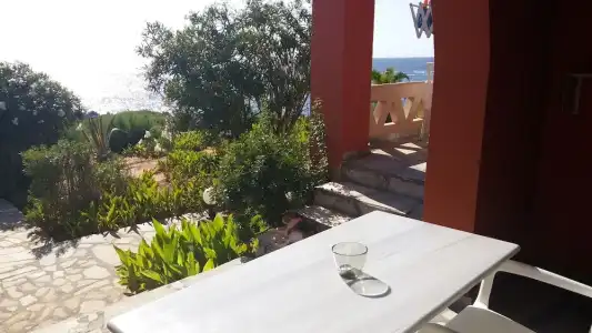 Georgia Vicky - 100