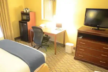 Best Western Premier Houston Downtown/Convention Center - 33