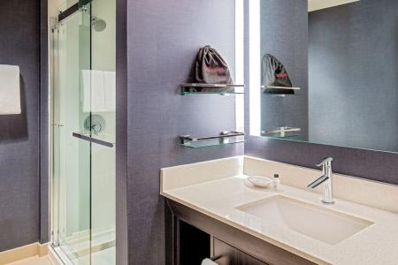 Hampton Inn Boston/Cambridge - 43