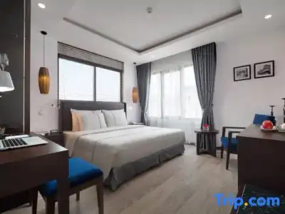 Hanoi Bonsella - 91