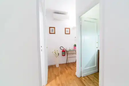 Babuino 79 - 5