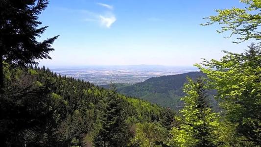 Relais & Châteaux Schwarzmatt - 5