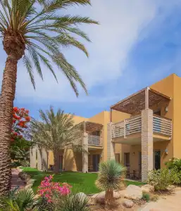 Ein Gedi Kibbutz - 72