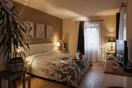 B&B Dvor Tacen - 5