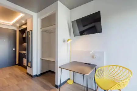 Homaris Kreuzberg 61 - 24
