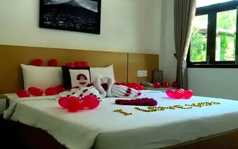 Camellia Resort & Spa - 38