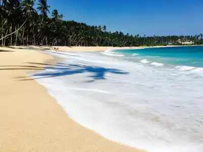 Little Tamarind - 15