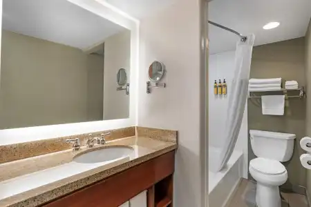 Best Western Plus Clocktower Inn - 79
