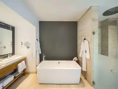 The Paragon Mexico City Santa Fe By Accor - 9
