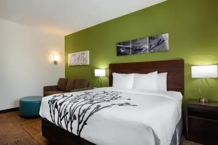 Sleep Inn & Suites Tampa South - 51