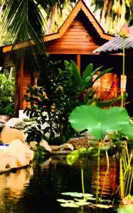 Phangan Rainbow Bungalows - 31