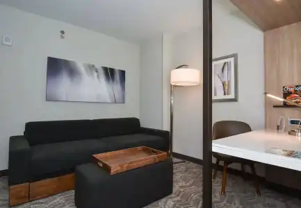 SpringHill Suites Charlotte City Center - 30