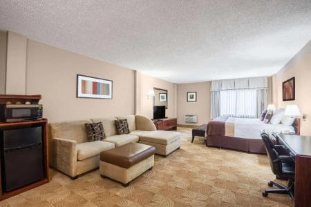 Ramada by Wyndham Denver Downtown - 15
