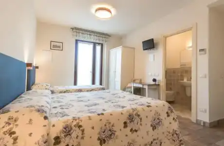 Rosa di Assisi - 78
