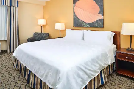 Holiday Inn & Suites Chicago - Downtown by IHG - 38