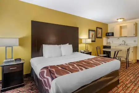 Rodeway Inn Clearwater - Central - 50