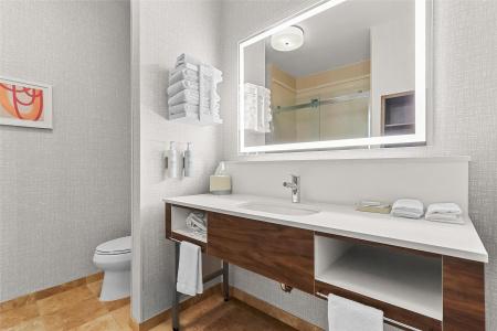 Hampton Inn & Suites El Paso West - 76