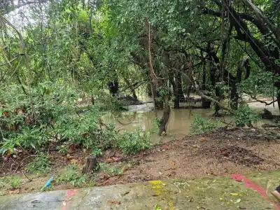 Tontarn Resort And Spa - 178