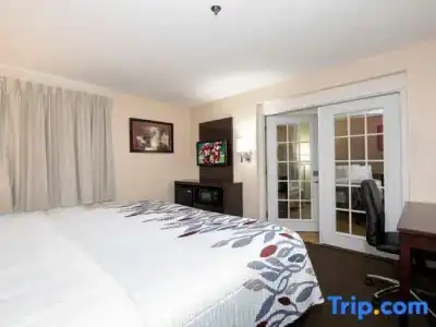 Red Roof Plus+ Phoenix West - 63