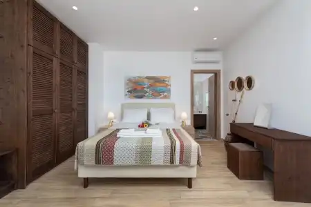 Stegna Dream - 103