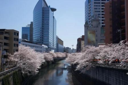 MEGURO EMPEROR - 17